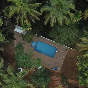 Bed & Breakfast Paddyfield